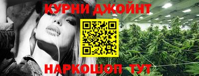 шишки Обь