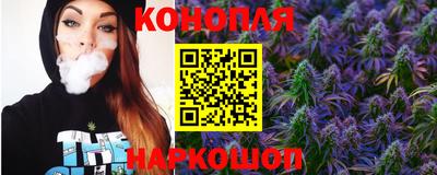 шишки Обь