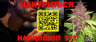 шишки Обь