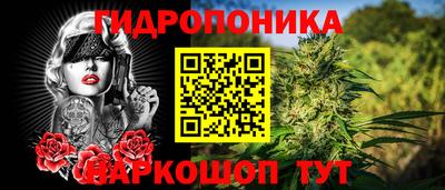 дмт Обнинск
