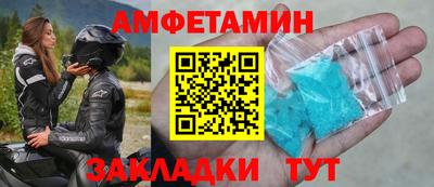 шишки Обь